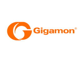 Gigamon