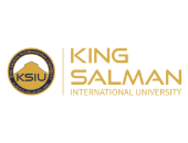 King salman university