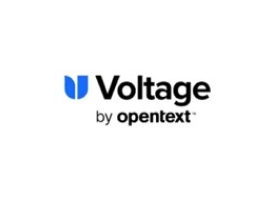 Voltage